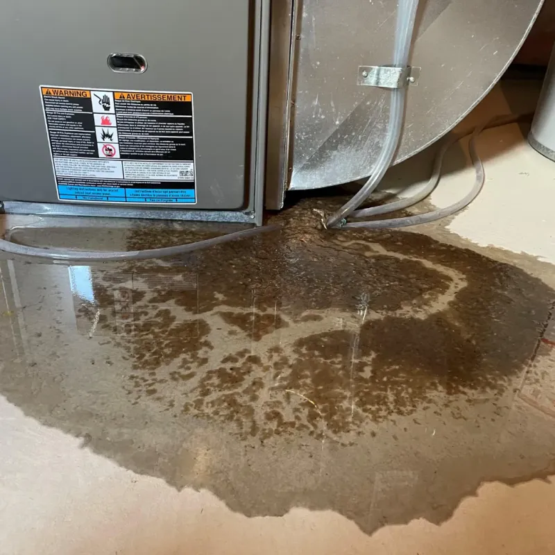 Appliance Leak Cleanup in Mount Zion, GA