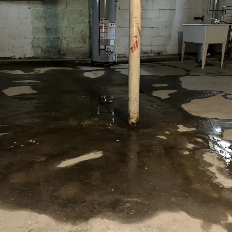 Emergency Water Extraction And Removal in Mount Zion, GA